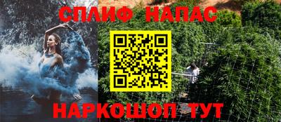 спиды Сланцы