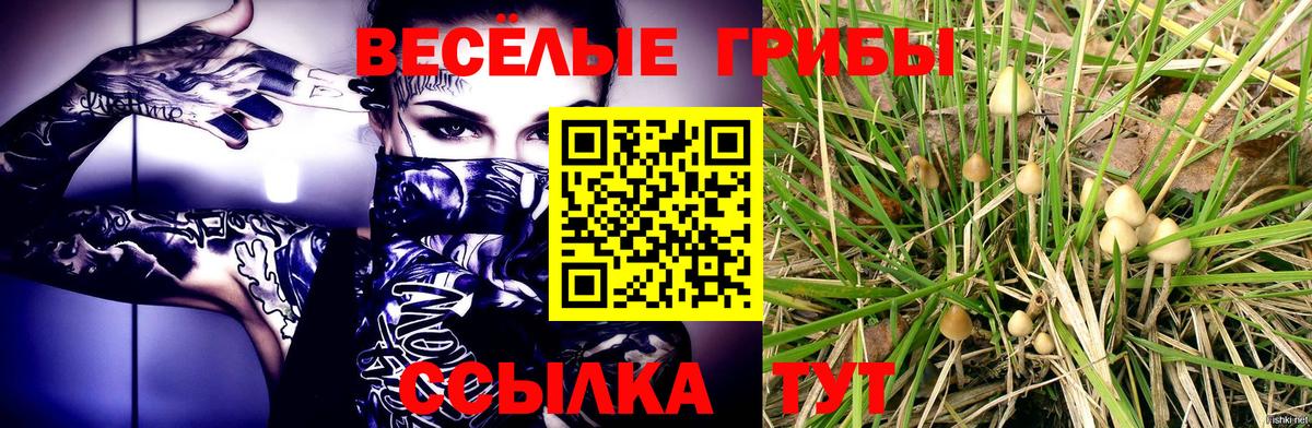 Галлюциногенные грибы MAGIC MUSHROOMS  Галлюциногенные грибы MAGIC MUSHROOMS  Пугачёв  Вход с VPN 
